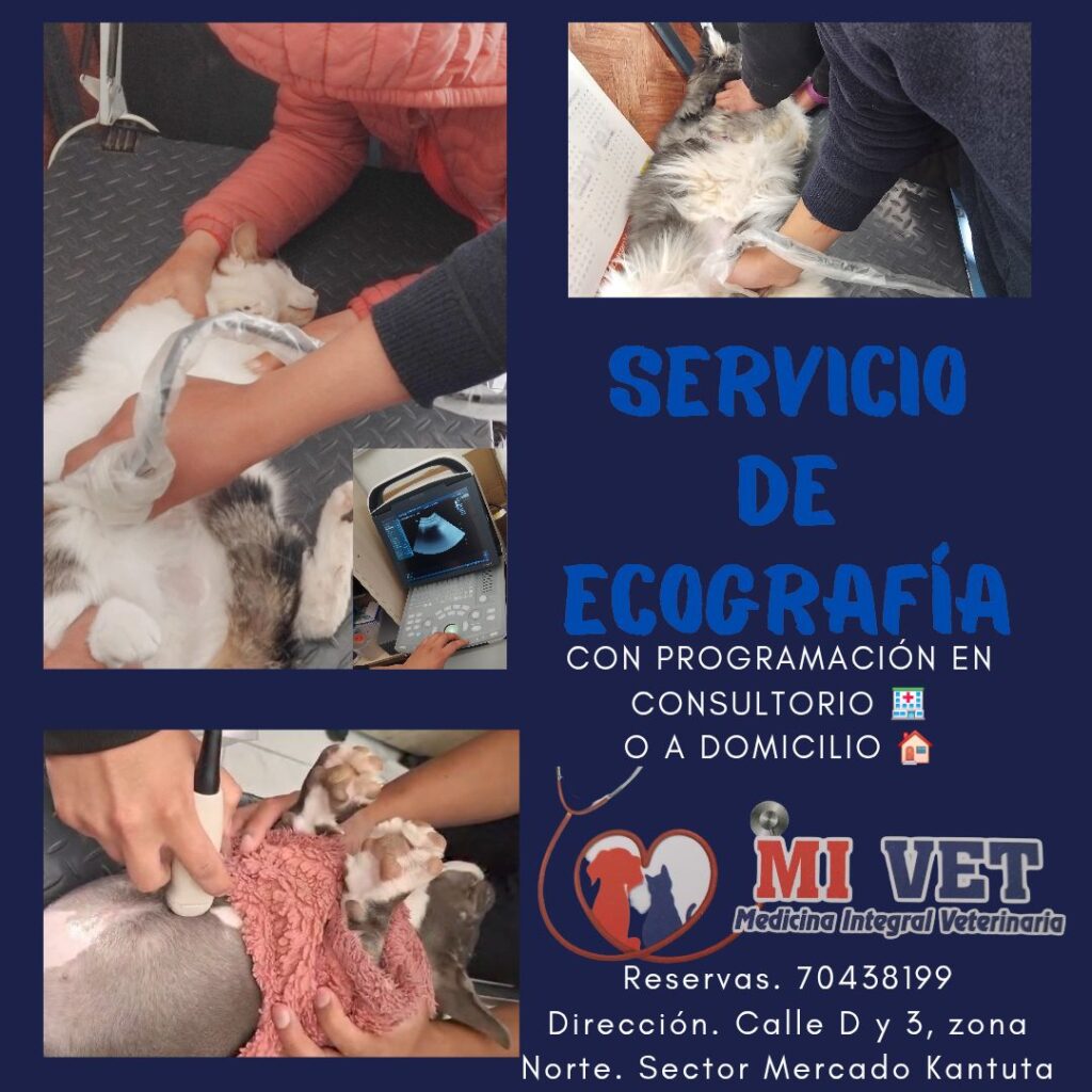 528805451_122256563468024188_435674849074508236_n