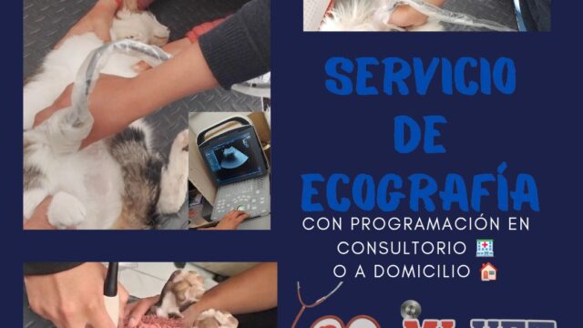 528805451_122256563468024188_435674849074508236_n