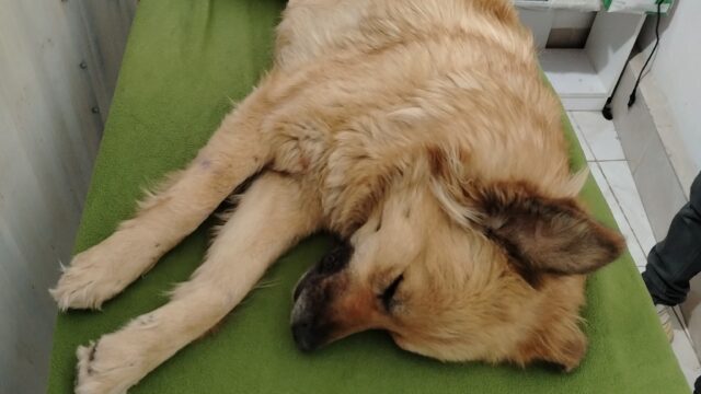 534571960_730560869856617_6963861192945928900_n