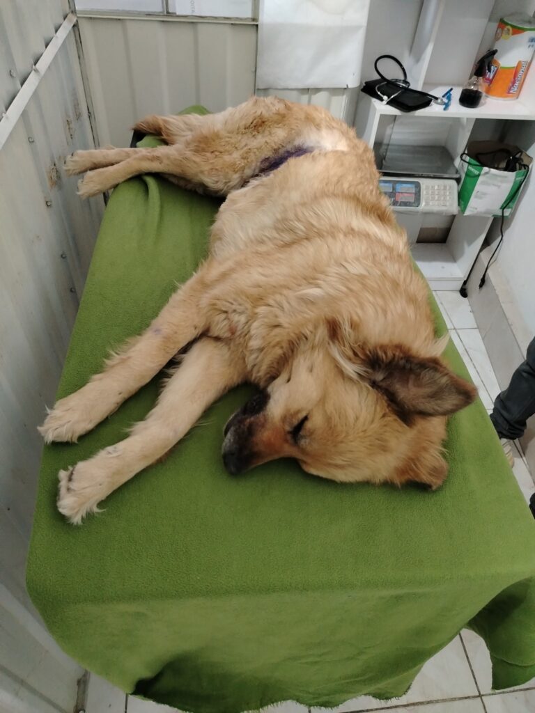 534571960_730560869856617_6963861192945928900_n