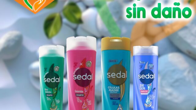 542748925_1291524416005495_1099597823411083728_n