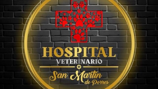 557413514_1228686299277861_333477652052973554_n