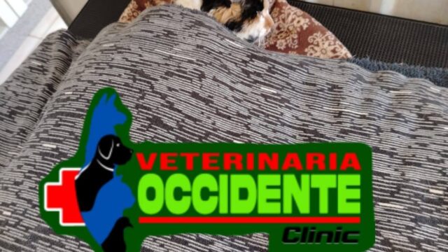 557449853_769938189252218_573231228915661964_n