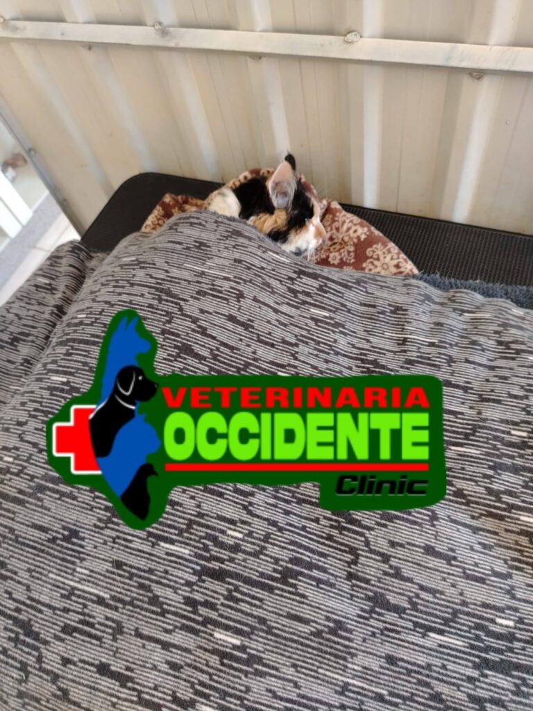 557449853_769938189252218_573231228915661964_n