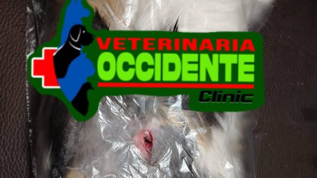 557633213_769938272585543_8819115204423393855_n