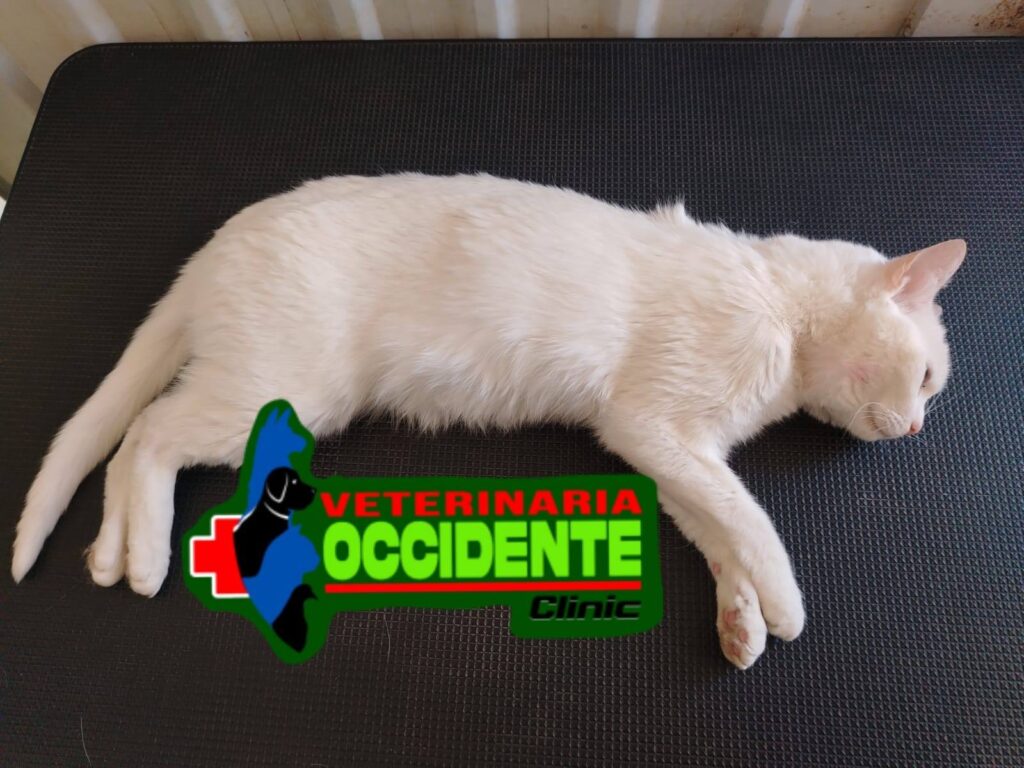 557634492_769938362585534_1957634004807379154_n