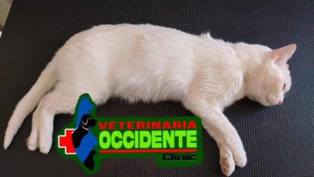 557634492_769938362585534_1957634004807379154_n