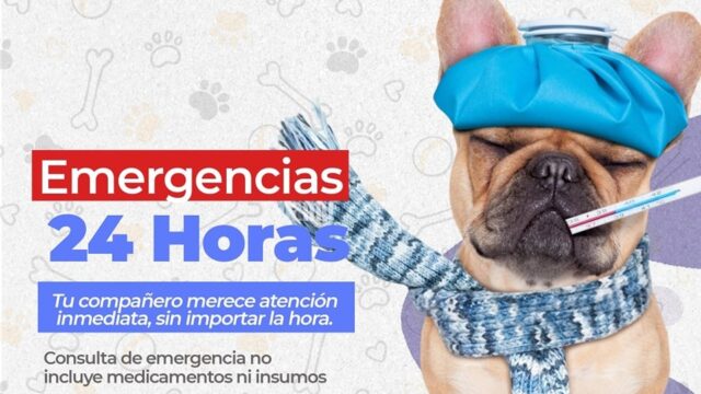 558387458_1221849059964507_927939720292360963_n