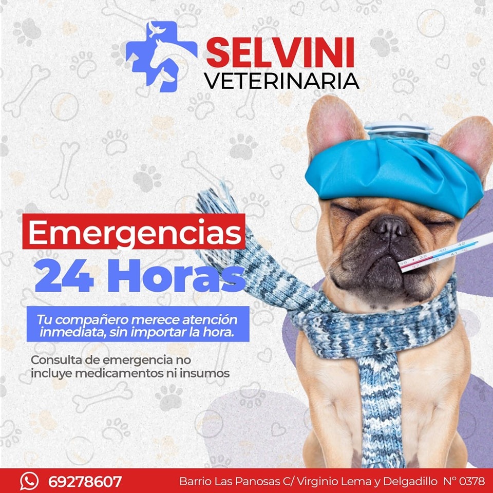 558387458_1221849059964507_927939720292360963_n