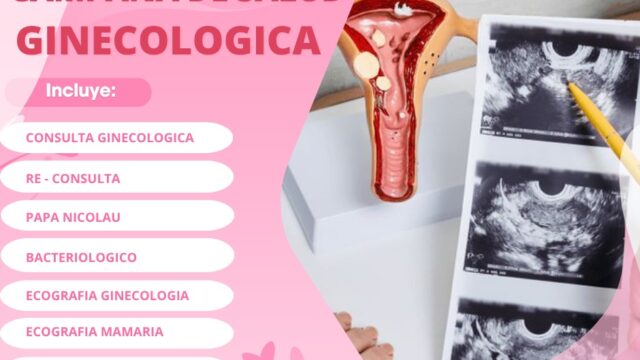 561544583_4064080777238250_2505633432530927952_n