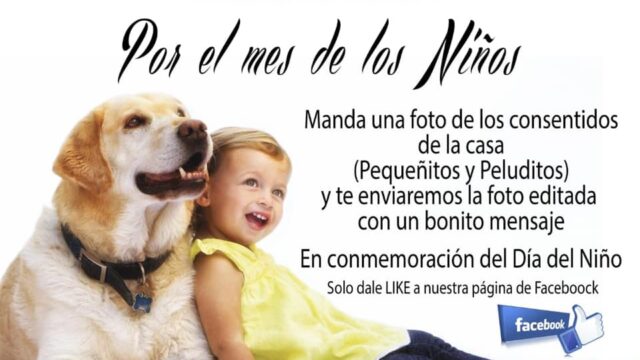 56226189_309782996638825_1570872601905987584_n