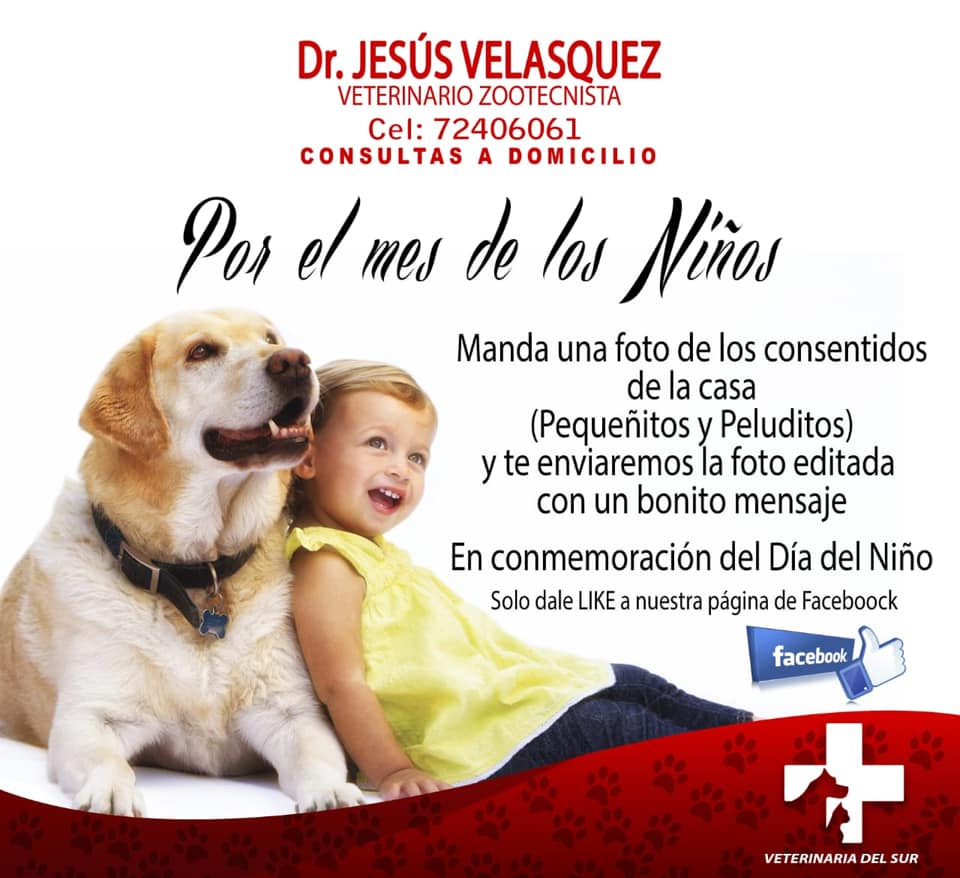 56226189_309782996638825_1570872601905987584_n