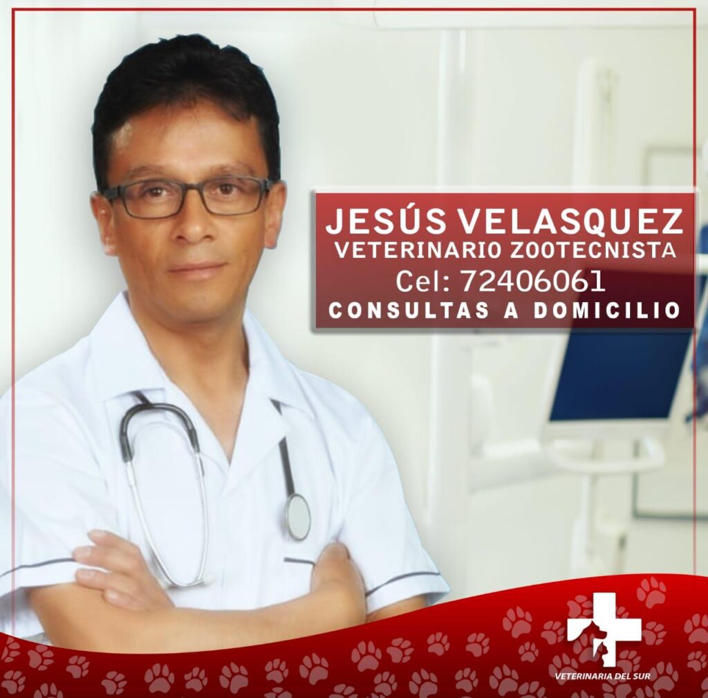 56326475_309787073305084_8691439280683220992_n