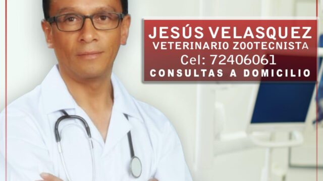 56326475_309787073305084_8691439280683220992_n