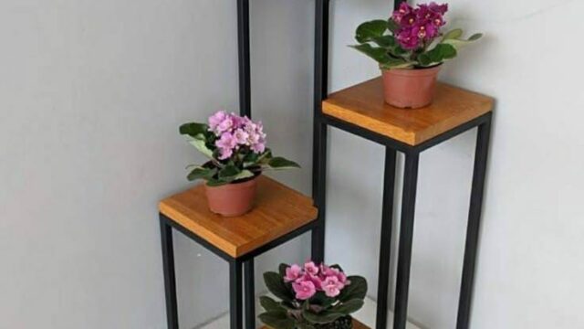 563521783_796899073334363_3053894224550218357_n