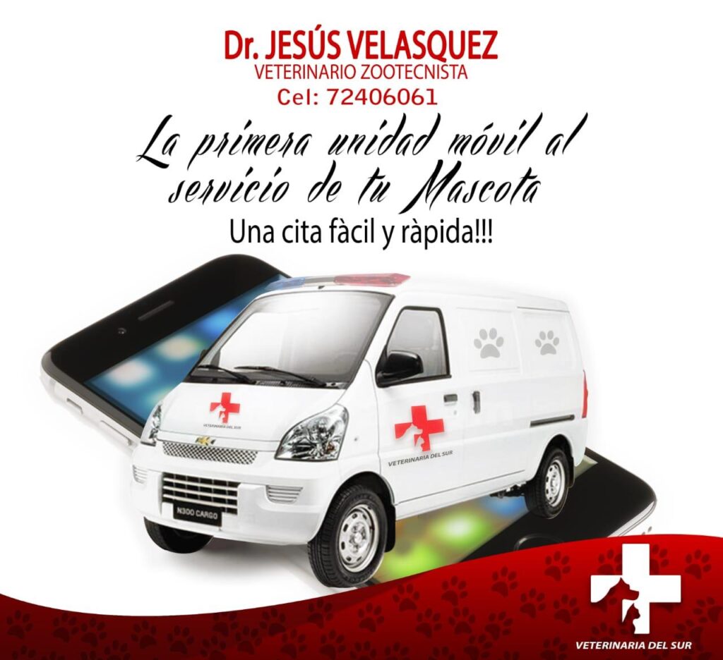 56405515_309795433304248_2073571890810585088_n