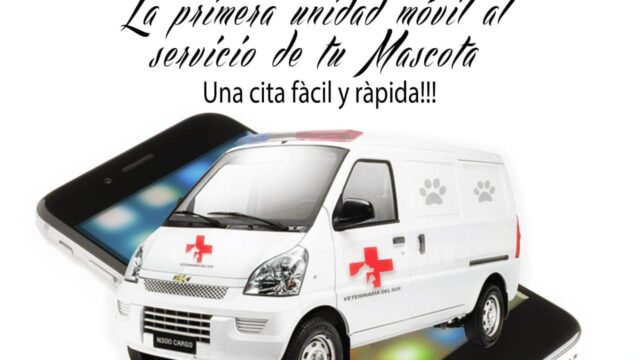 56405515_309795433304248_2073571890810585088_n