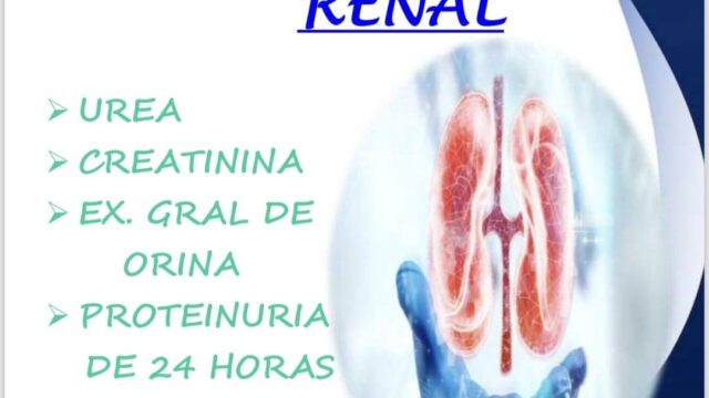 568224348_1397343965733520_4547070870424017070_n