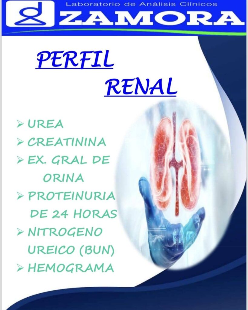 568224348_1397343965733520_4547070870424017070_n