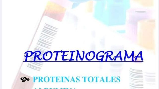 569134244_1395569982577585_5510691290915573762_n