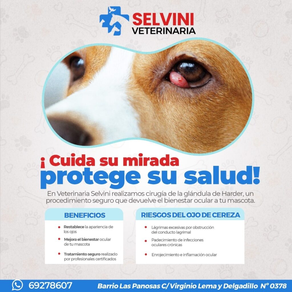 569180977_1231534915662588_828994112577023555_n