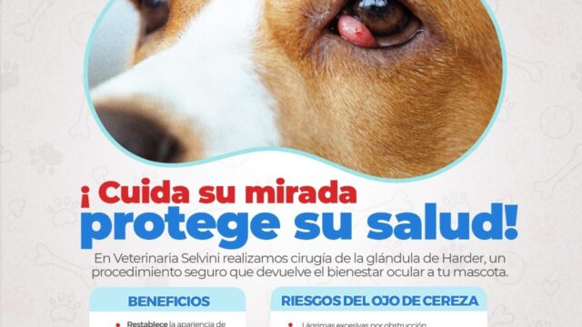 569180977_1231534915662588_828994112577023555_n