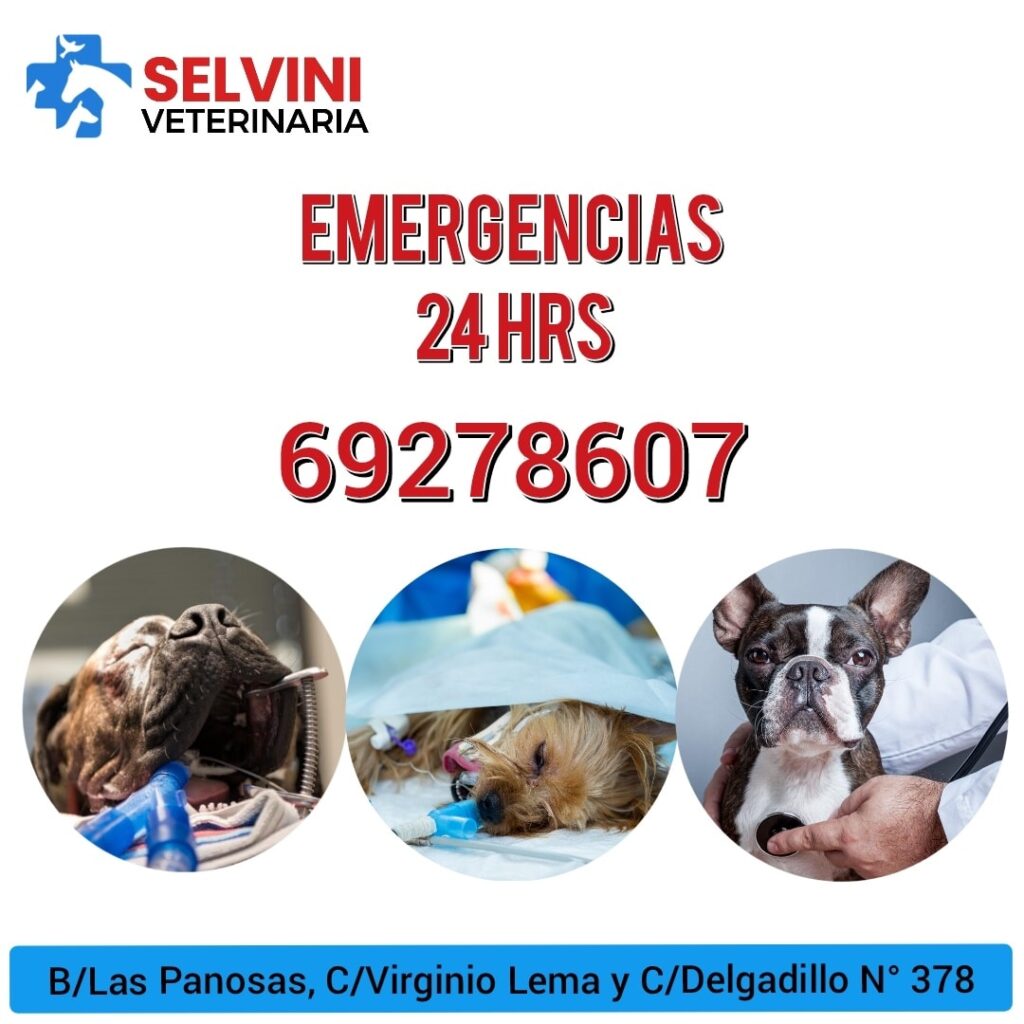 584770316_1256131623202917_4839092772696738095_n