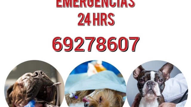 584770316_1256131623202917_4839092772696738095_n