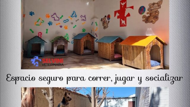 587075921_1260654542750625_6967030980407395859_n