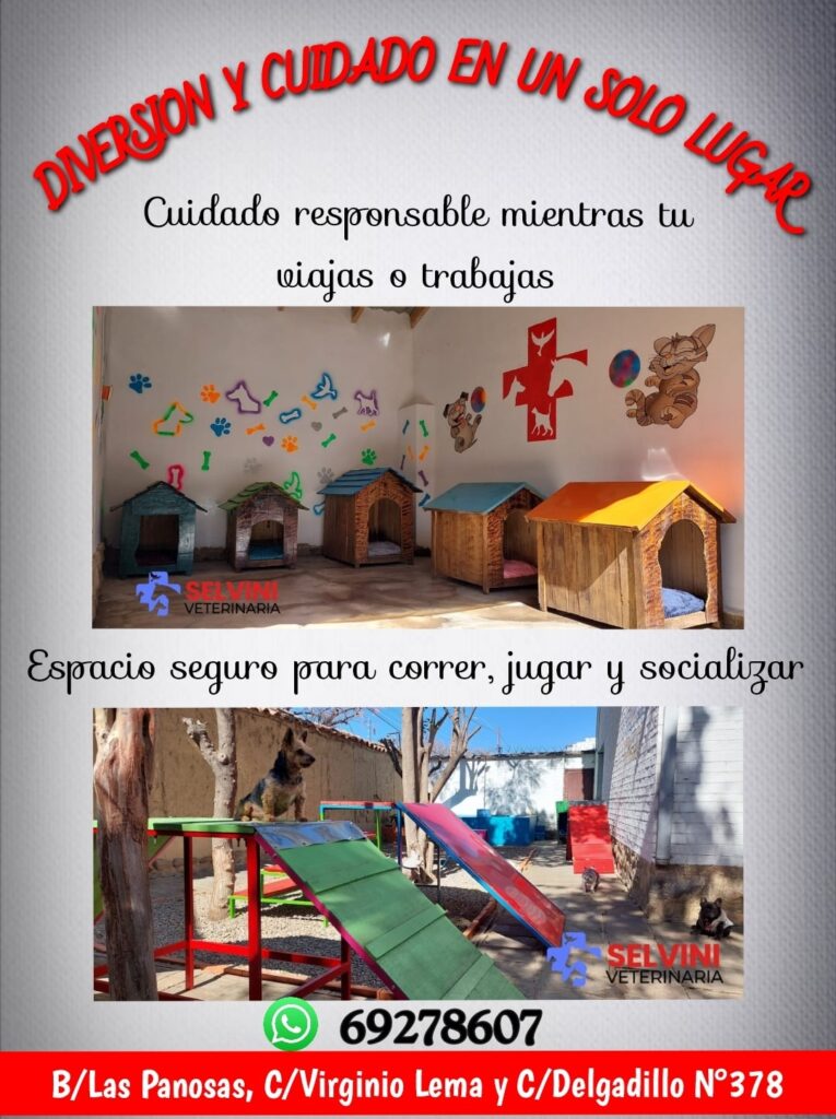 587075921_1260654542750625_6967030980407395859_n