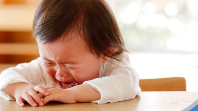 588633366_1543565683985326_5449266930677816300_n