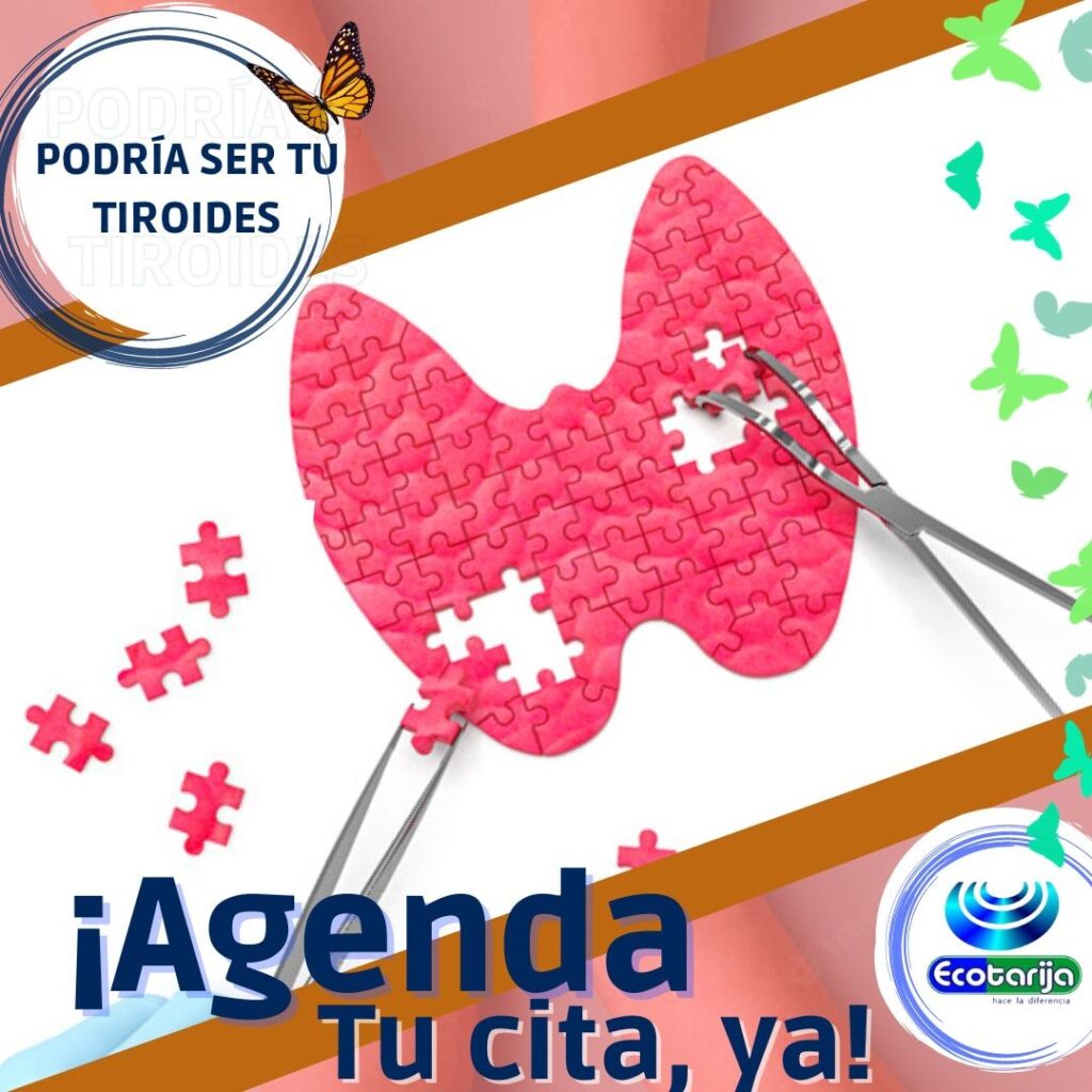 590460814_1312970437514473_7656399502564628936_n