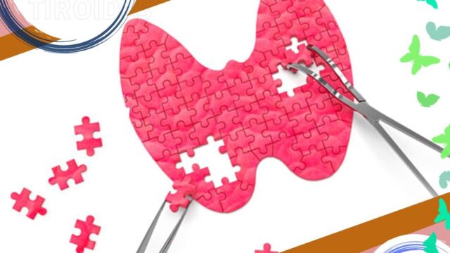 590460814_1312970437514473_7656399502564628936_n