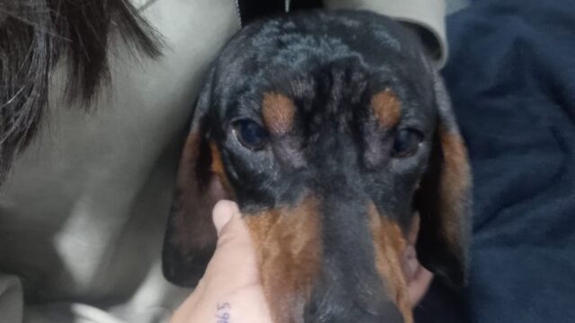 591062910_1418196086982413_7834584642545007035_n