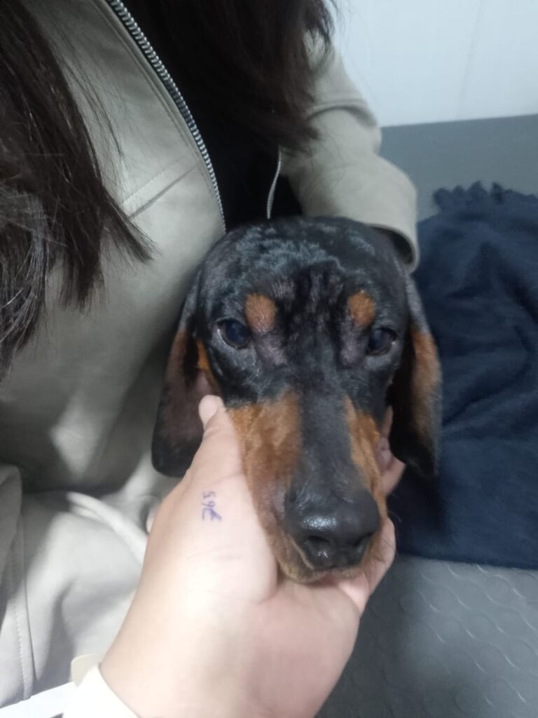 591062910_1418196086982413_7834584642545007035_n