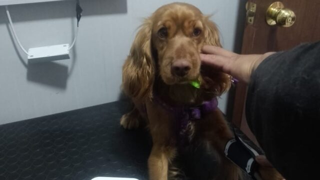 591180069_1418195986982423_5428766813887955663_n