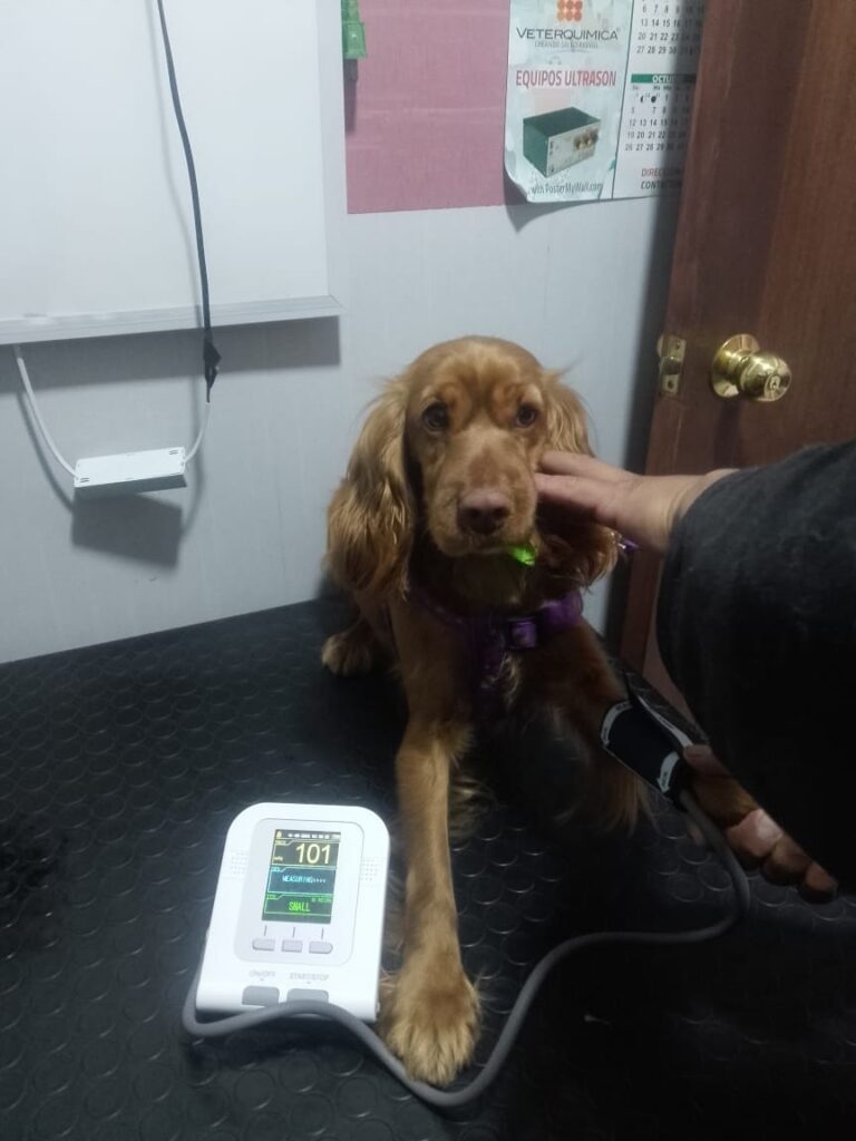 591180069_1418195986982423_5428766813887955663_n