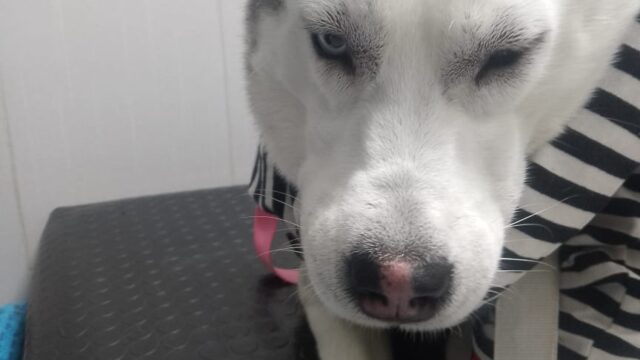 591453196_1418196010315754_232552483969485271_n