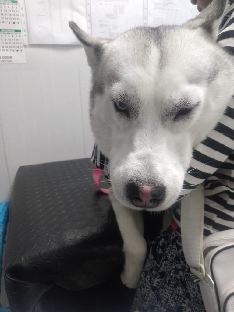 591453196_1418196010315754_232552483969485271_n