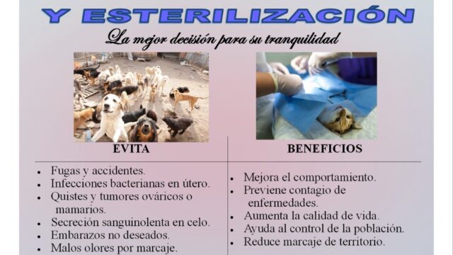 593544830_122275663340024188_1438188705923006450_n