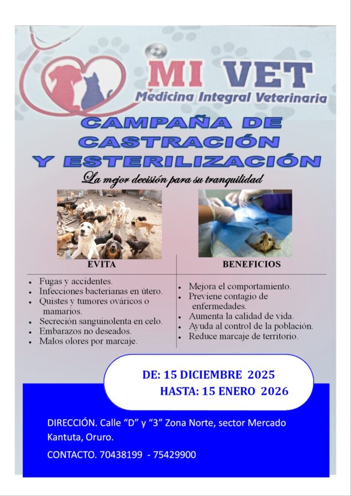 593544830_122275663340024188_1438188705923006450_n