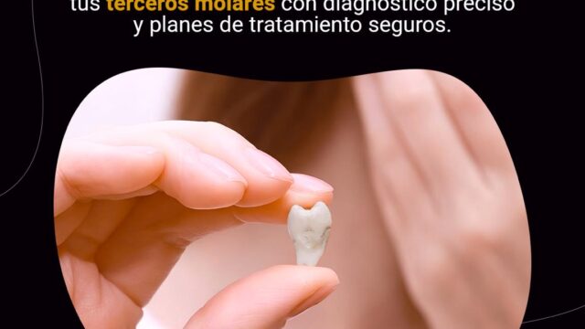 597890849_1326149582860495_6559674528969973253_n