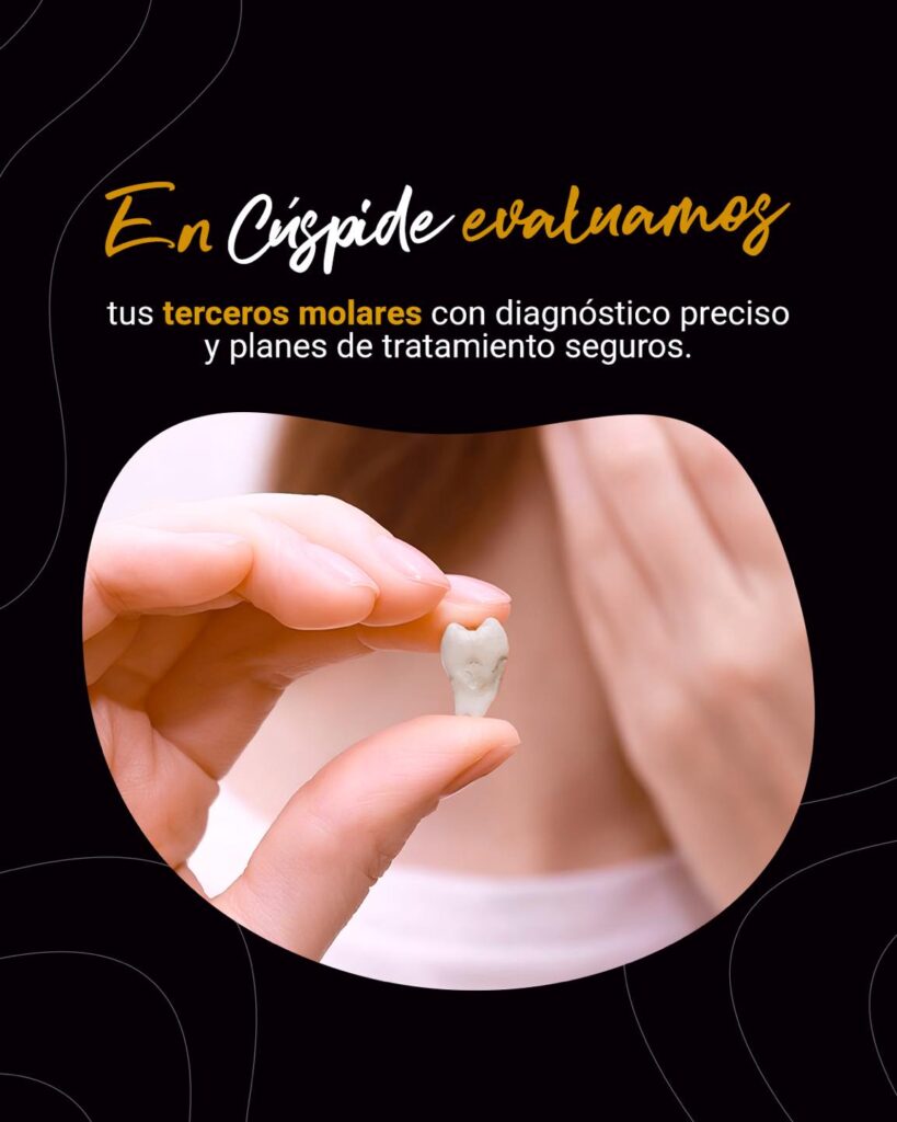 597890849_1326149582860495_6559674528969973253_n