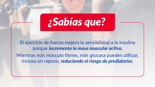 598975242_122174514344751818_8162644852113606775_n