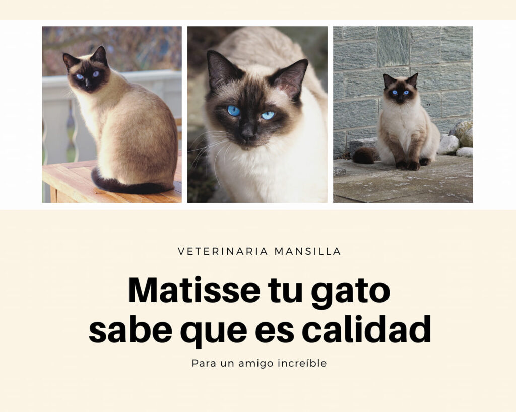 82540787_756199868200953_5343705899166859264_n