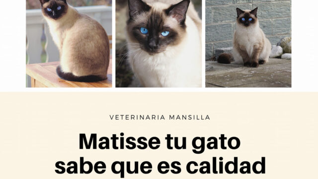 82540787_756199868200953_5343705899166859264_n