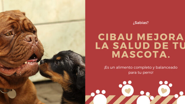 83129524_756197161534557_4707946573517029376_n