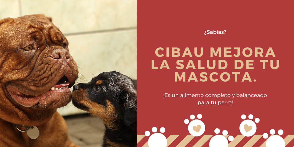 83129524_756197161534557_4707946573517029376_n