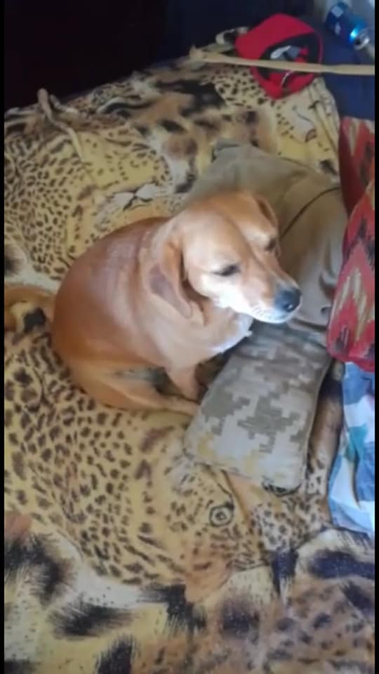 92922736_2852554861465232_5157119639221698560_n