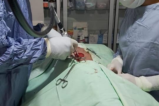 93137240_2852554904798561_9222399102208180224_n